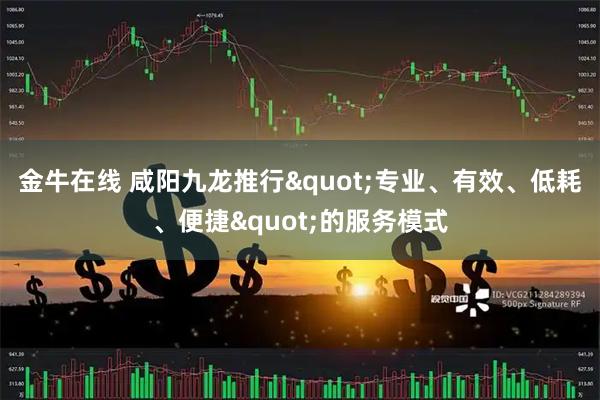 金牛在线 咸阳九龙推行"专业、有效、低耗、便捷"的服务模式