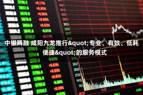 中银两融 咸阳九龙推行"专业、有效、低耗、便捷"的服务模式