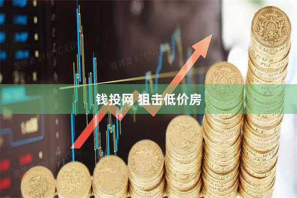 钱投网 狙击低价房