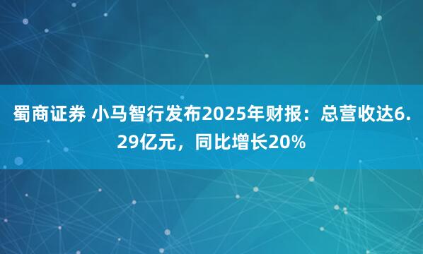 蜀商证券 小马智行发布2025年财报：总营收达6.29亿元，同比增长20%