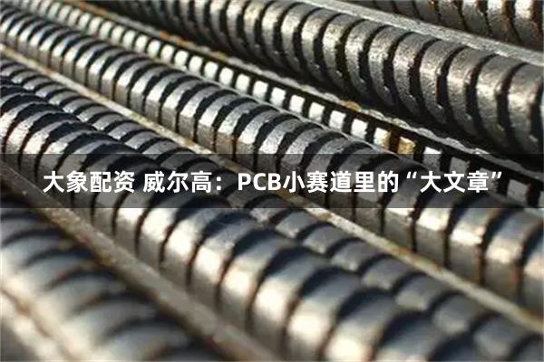 大象配资 威尔高:PCB小赛道里的“大文章”